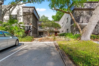 TEMPLE TERRACE FL Home