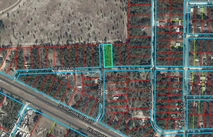 BRONSON FL Property