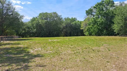 BELLEVIEW FL Property