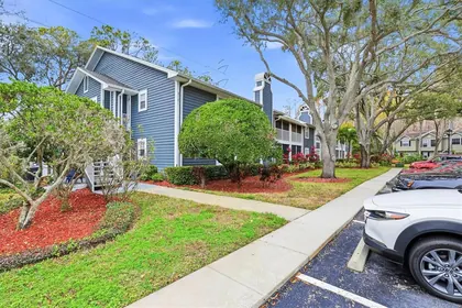 PALM HARBOR FL Home