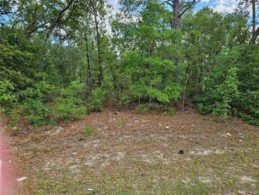 DUNNELLON FL Property