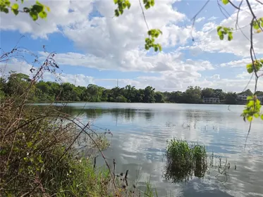 EUSTIS FL Property