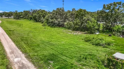 DOVER FL Property