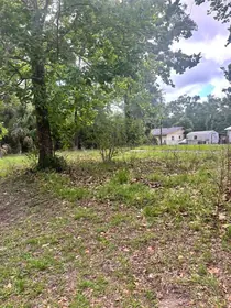 BRONSON FL Property