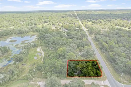 HOMOSASSA FL Property