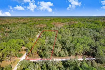 WEBSTER FL Property