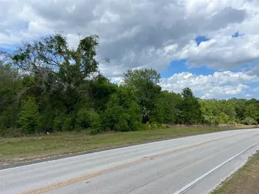 WEIRSDALE FL Property