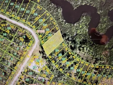 PUNTA GORDA FL Property