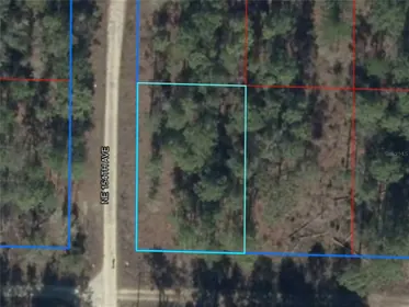 WILLISTON FL Property