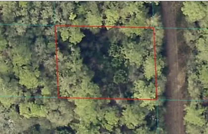 CITRA FL Property