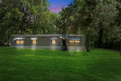 LAKE PANASOFFKEE FL Home