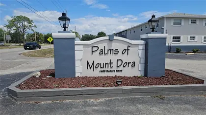 MOUNT DORA FL Home