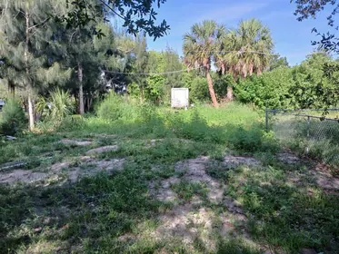 PUNTA GORDA FL Property