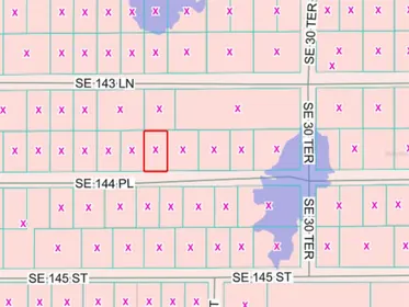SUMMERFIELD FL Property