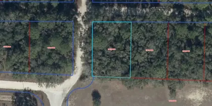 WILLISTON FL Property