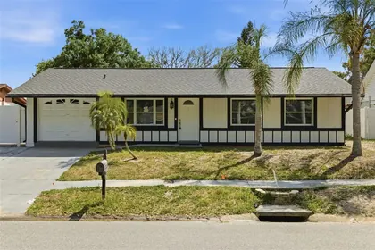 LUTZ FL Home