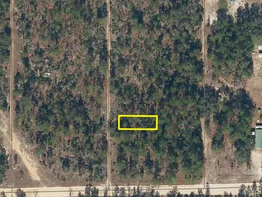 INTERLACHEN FL Property