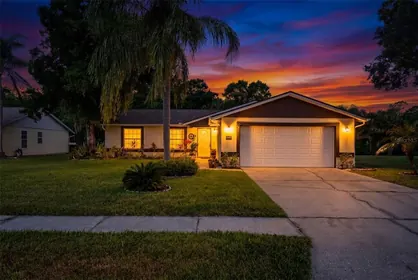 OLDSMAR FL Home