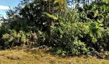 NORTH PORT FL Property
