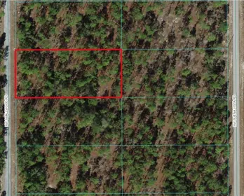 DUNNELLON FL Property