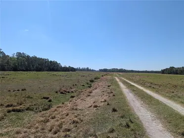 POLK CITY FL Property