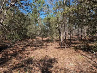 DUNNELLON FL Property