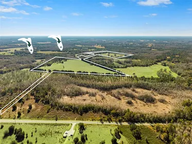 GROVELAND FL Property