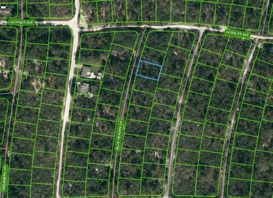 LAKE PLACID FL Property