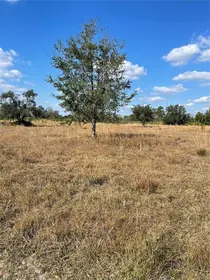 LAKE WALES FL Property