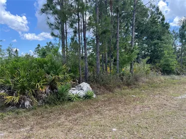 INDIAN LAKE ESTATES FL Property