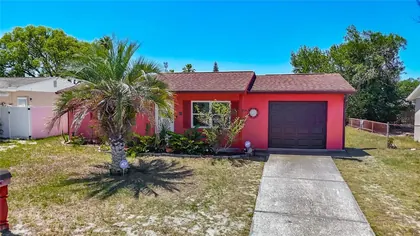 PORT RICHEY FL Home