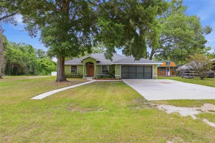 SUMMERFIELD FL Home