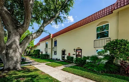 DUNEDIN FL Home