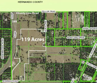 SPRING HILL FL Property