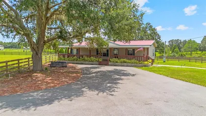 UMATILLA FL Home
