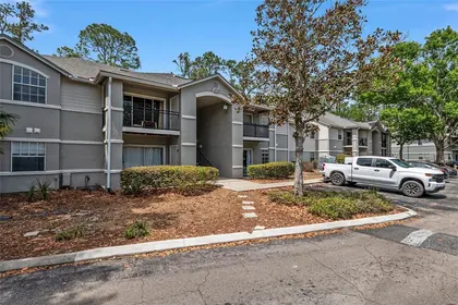 GAINESVILLE FL Home