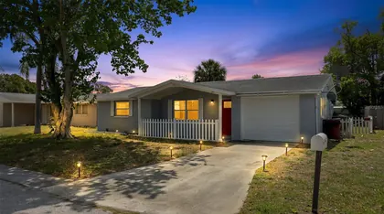HOLIDAY FL Home