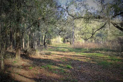 WEBSTER FL Property