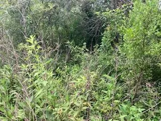 KISSIMMEE FL Property