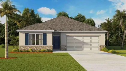 PLANT CITY FL Home