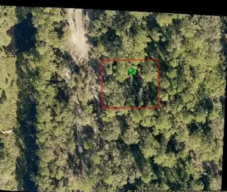 DELAND FL Property