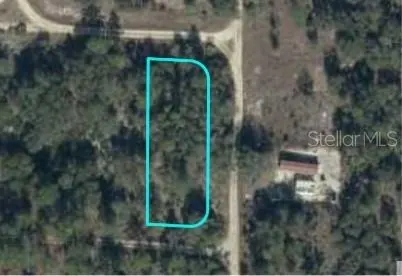 BRONSON FL Property