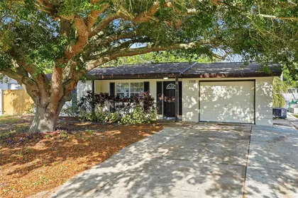 HOLIDAY FL Home