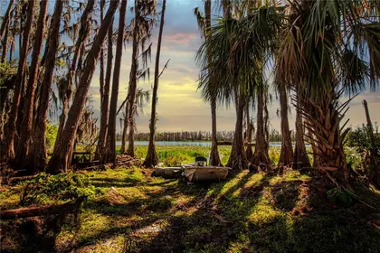 WIMAUMA FL Property