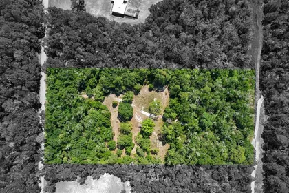 CRYSTAL RIVER FL Property