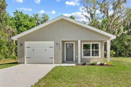 LAKE PANASOFFKEE FL Home