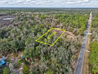 WEBSTER FL Property