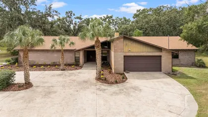 BRANDON FL Home
