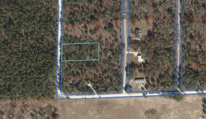 WILLISTON FL Property