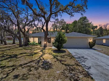 SPRING HILL FL Home